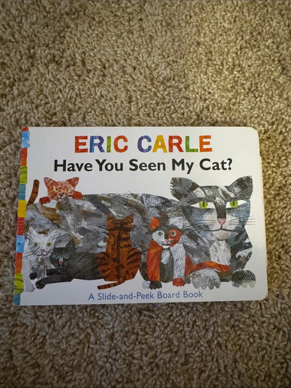 Have You Seen My Cat? Board Book - Multicolor